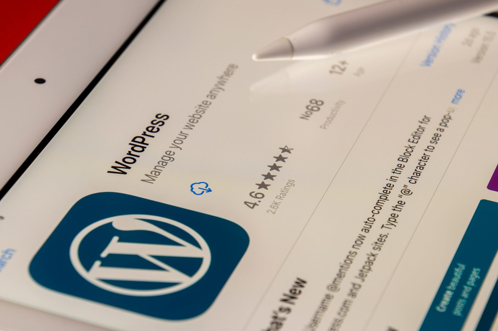 WordPress Plugin For The HighLevel Chat Widget