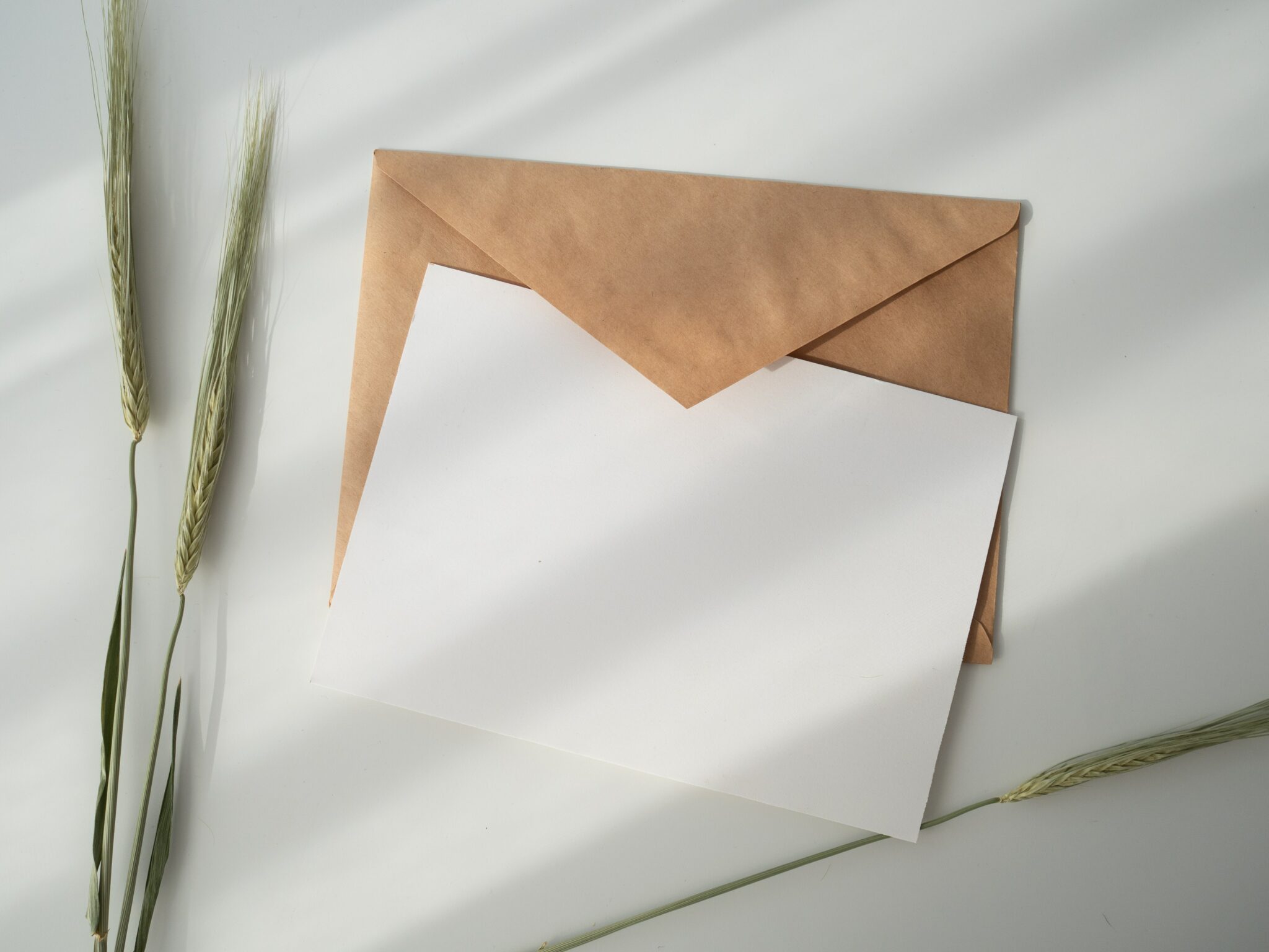 Mailgun Setup Using GoDaddy