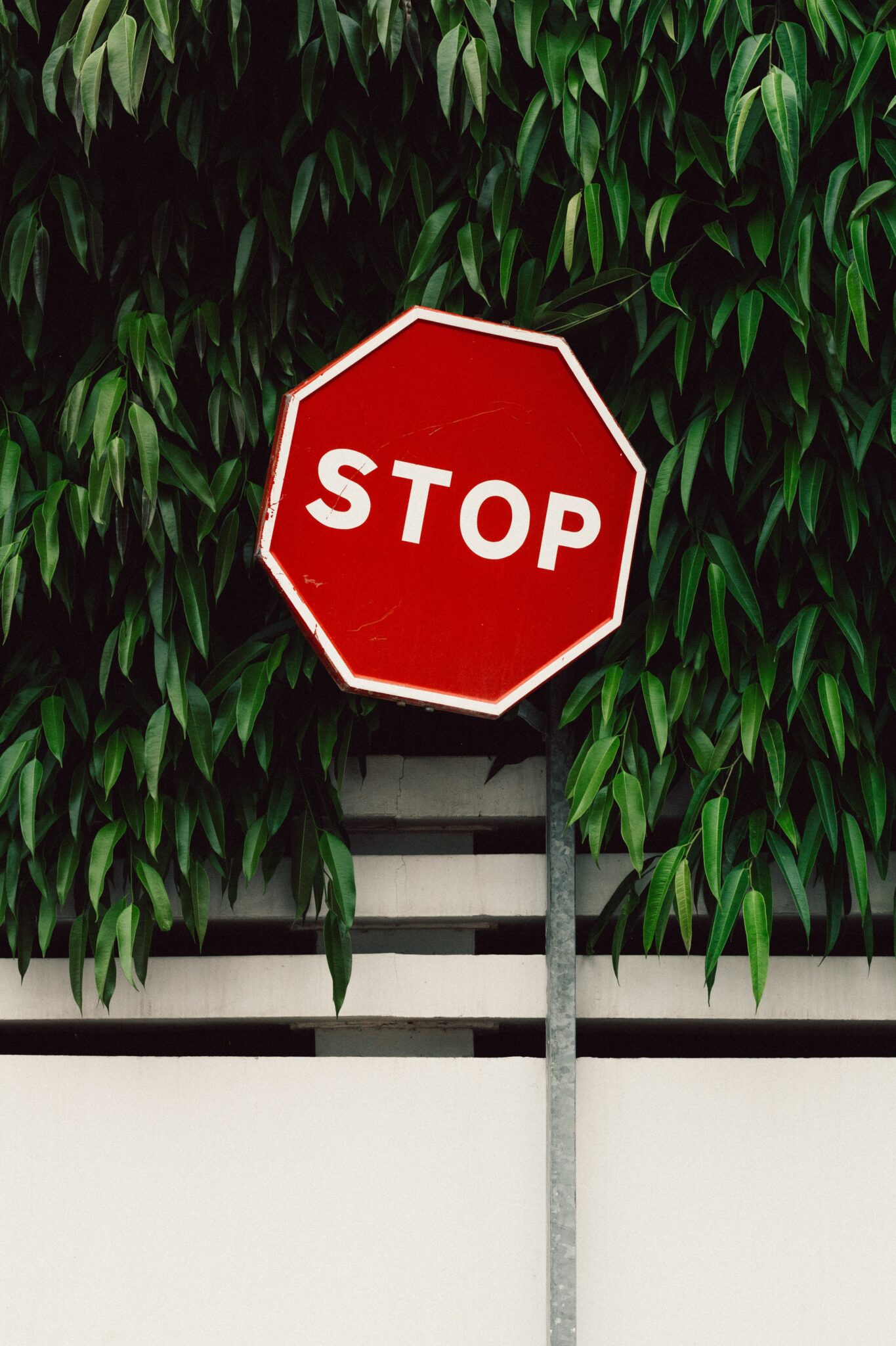 How Does “Stop On Response” Work In A HighLevel Campaign