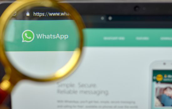 Go HighLevel and WhatsApp Business