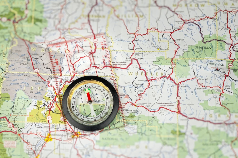 Understanding PLR and MRR in Software Sales