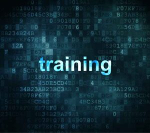 Best GoHighLevel Training for 2026: Top Courses, Coaching & SaaS Programs